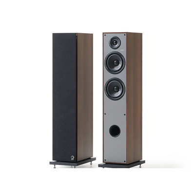 Elipson Horus 11F / Noyer - Gris Foncé